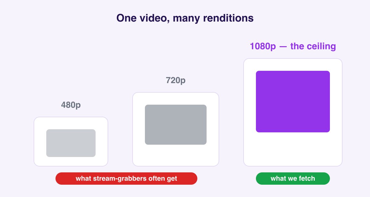 Instagram's rendition ladder: the same video exists at 480p, 720p, and 1080p; stream-grabbing tools often save a low rung while a proper downloader fetches the 1080p ceiling